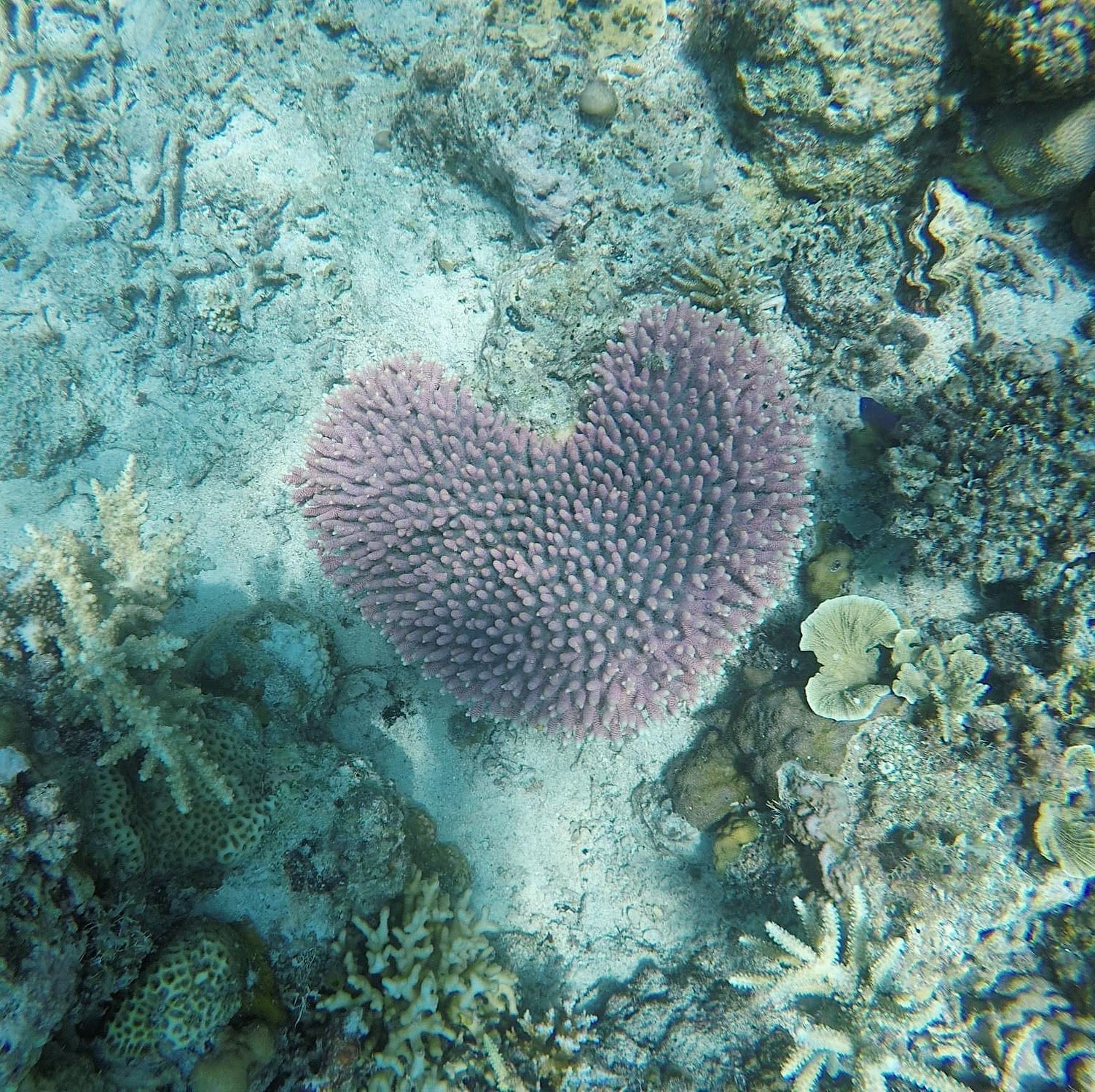 Why is Eco-Friendly Packaging So Important?