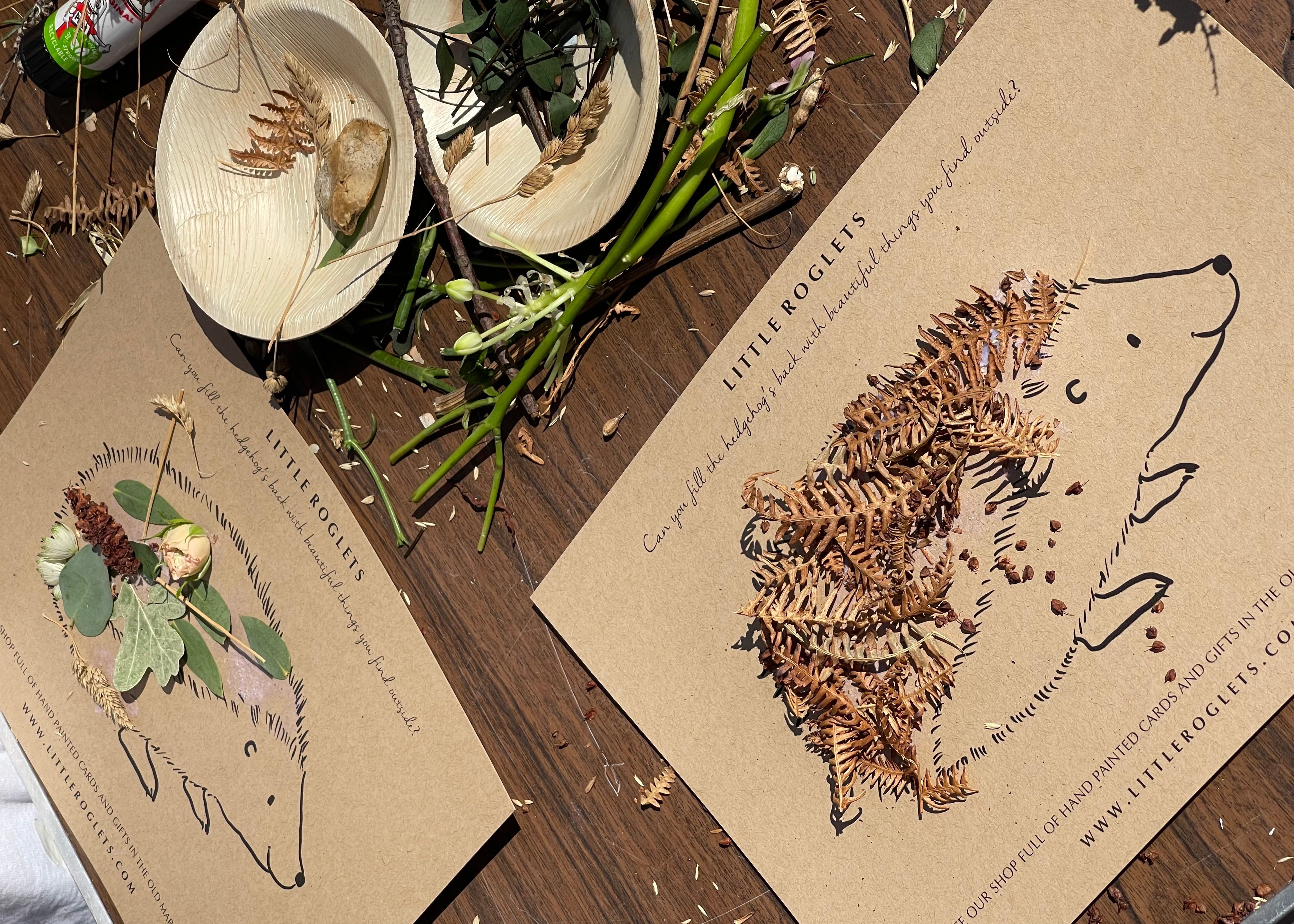 Dartmouth Regatta Community Day - Hedgehog Crafting