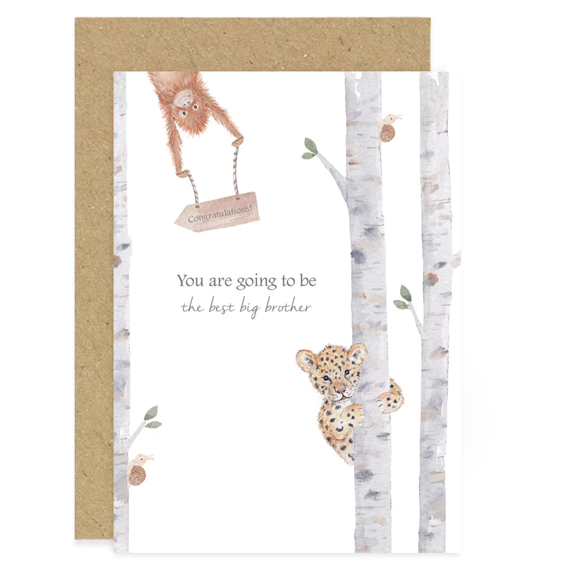 Best Big Brother Card