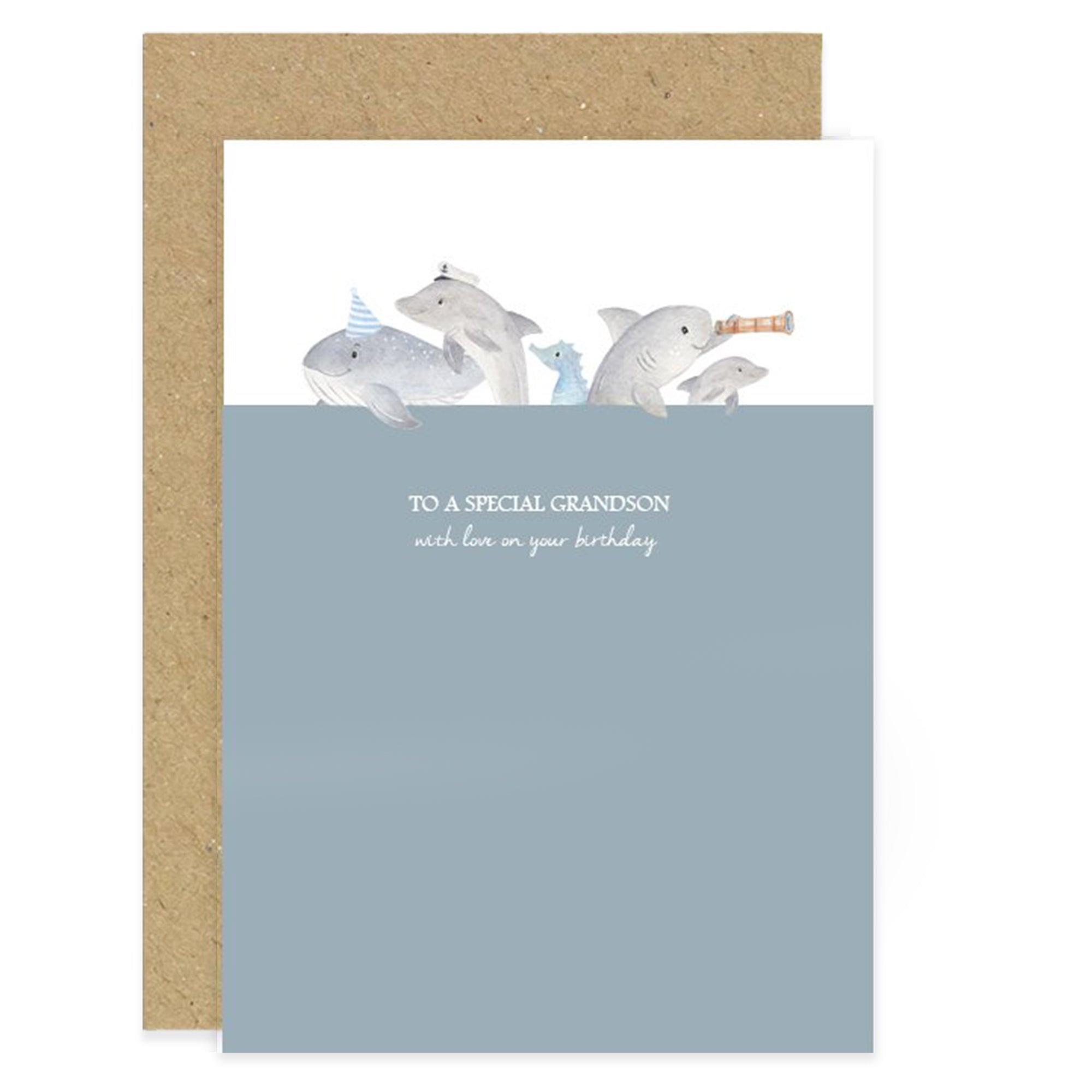 To a Special Grandson on His Birthday Card